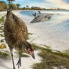 【鳥】キジ・カモ類祖先に近い鳥、ベルギーで6670万年前の化石発見