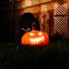 a carved pumpkin sitting in the grass in front of a house
