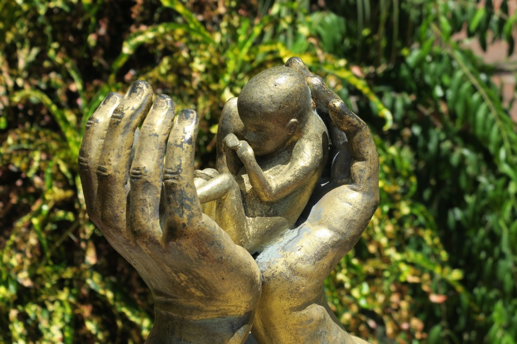 Abortion Hand Hands Protective Hand  - hhach / Pixabay