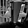 Accordion Musical Instrument  - cocoparisienne / Pixabay