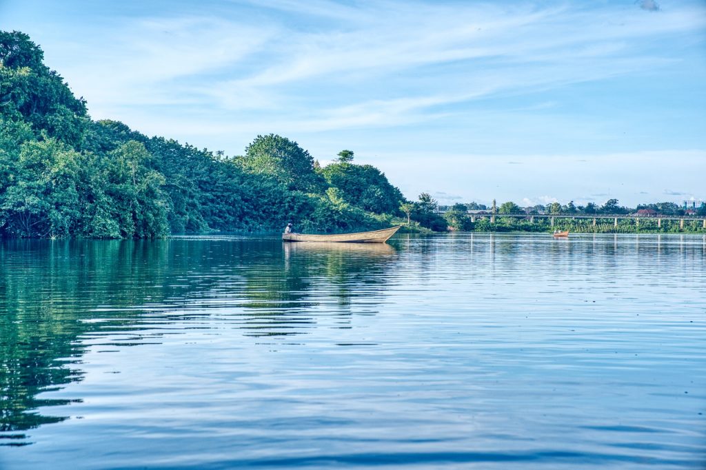 Africa Nile Uganda River Nature  - eunseong0331 / Pixabay