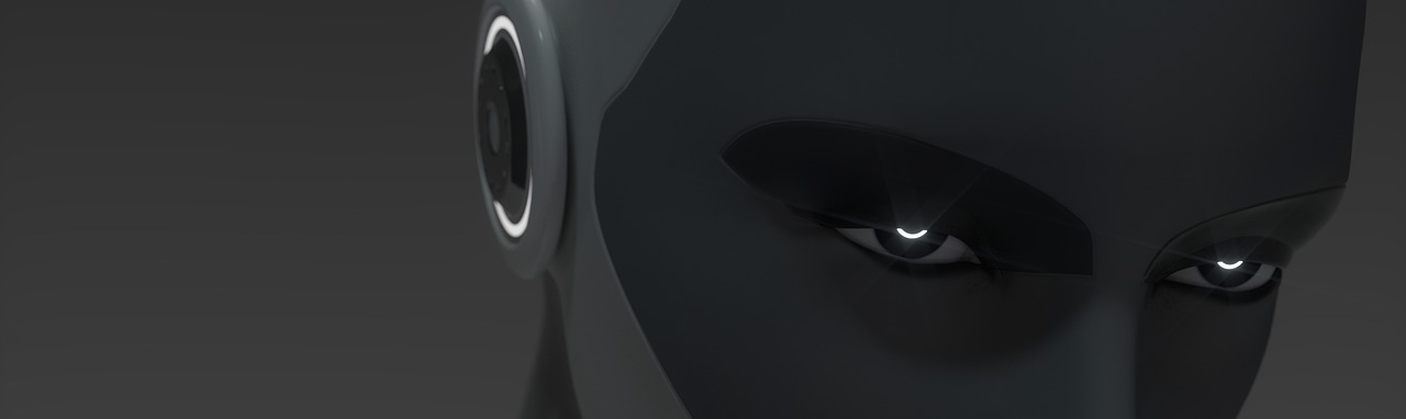 Ai Cyborg Robot Sf Robotics Woman  - D5000 / Pixabay