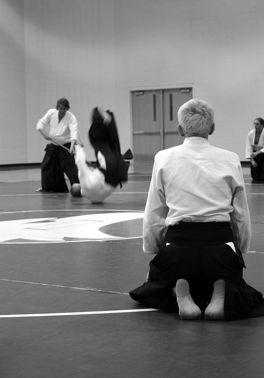Aikido Martial Arts Self Defense  - abelleee / Pixabay