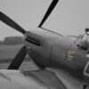 Aircraft Spitfire Monochrome  - Netloop / Pixabay