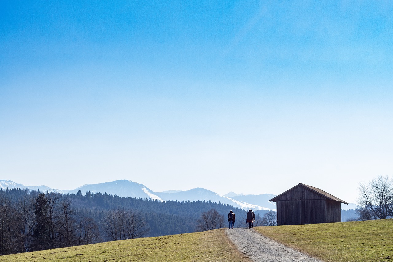 Alps Mountain Hut Mountains Path  - zapCulture / Pixabay