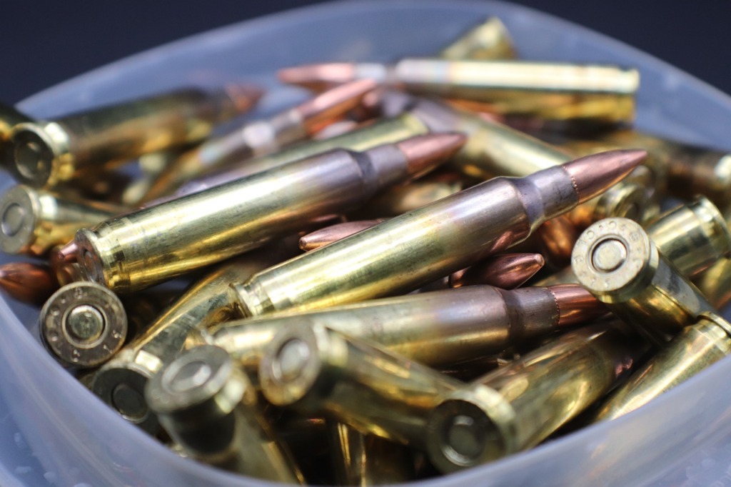 Ammo Bullets Gun Rifle Ammunition  - mscanland66 / Pixabay