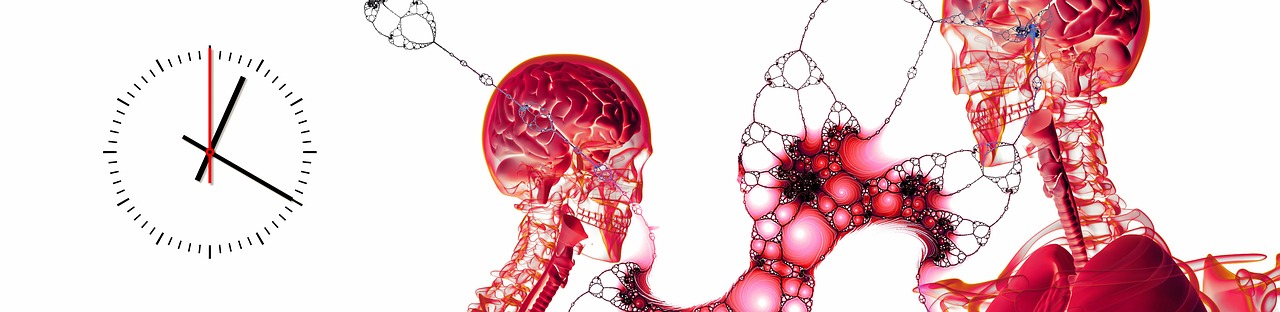 anatomy human clock interior time 4056455