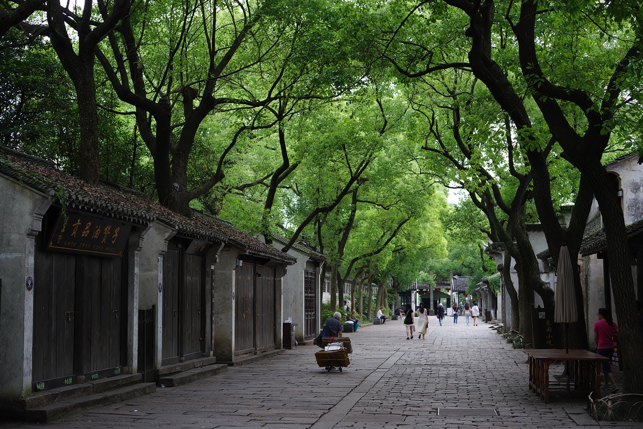 Ancient Town Trees Park Avenue - wbuz010 / Pixabay