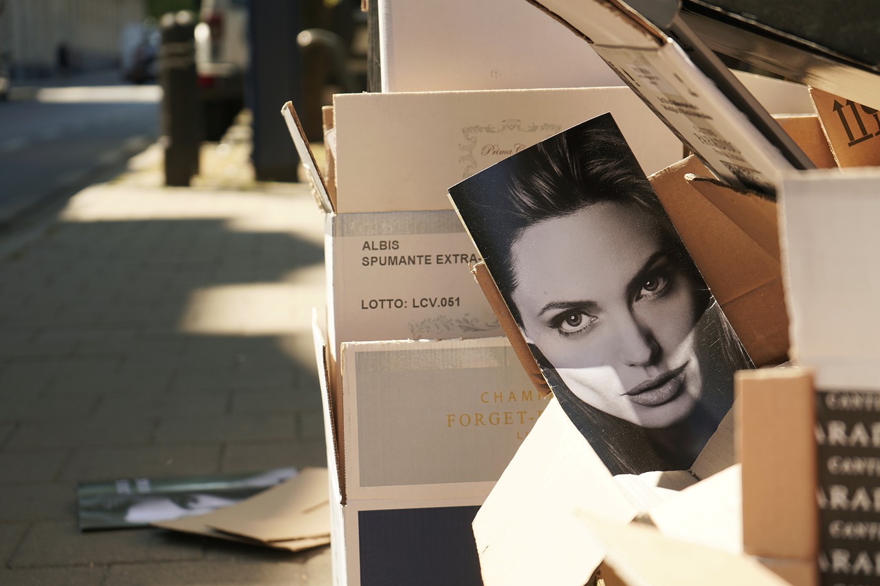 Angelina Jolie Sidewalk Cardboard  - MarcVanDijck / Pixabay