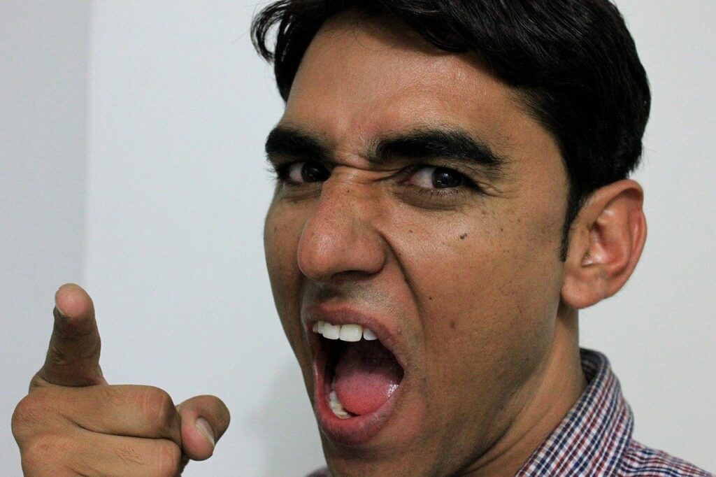 Angry Man Point Finger India Angry  - Ashish_Choudhary / Pixabay