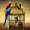 Animals Cat Bird Parrot Ara Cage  - blende12 / Pixabay