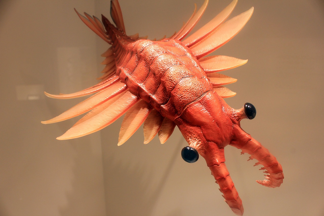 Anomalocaris Prehistoric Animals  - Goodfreephotos_com / Pixabay