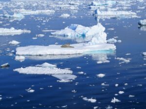 Antarctica Ice Floe Sea Ice Robbe  - heidemsy / Pixabay