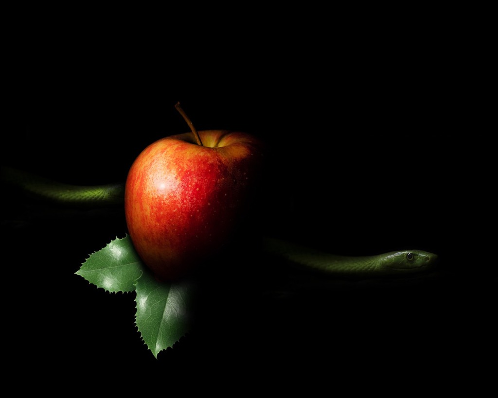 Apple Sin Fruits Adam Eden  - Briam-Cute / Pixabay