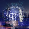 Artificial Intelligence Brain  - geralt / Pixabay