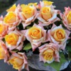 Artificial Roses Flowers  - GoranH / Pixabay