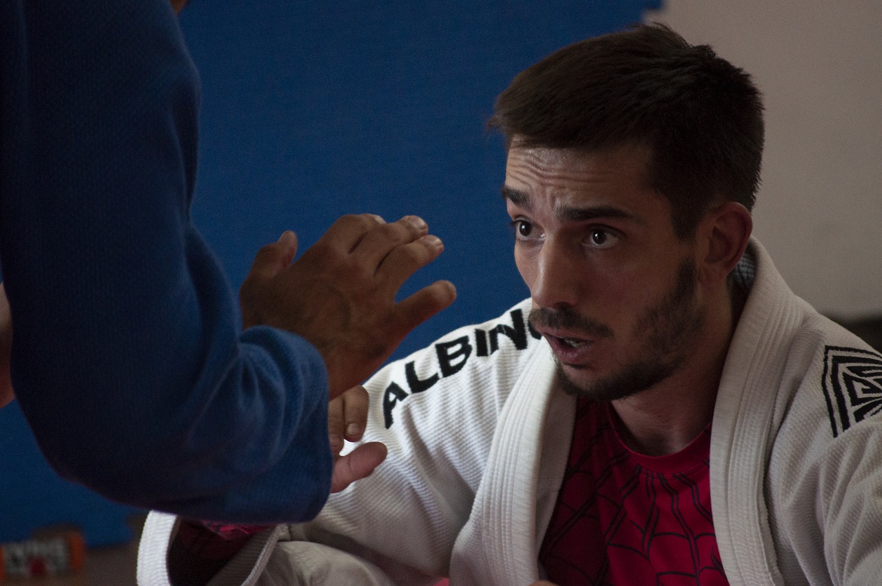 Arts Martial Bjj Brazilian Jiu  - imperioame / Pixabay