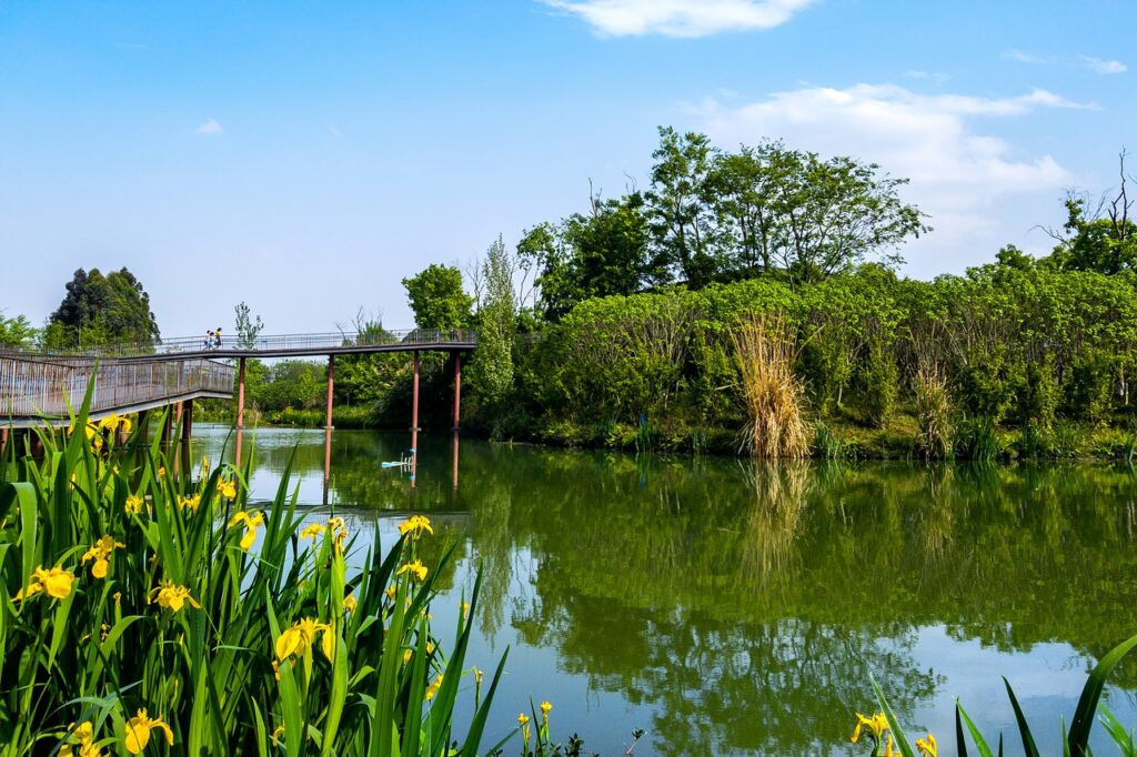 Asia China Chengdu Lake Park  - adrian2019 / Pixabay