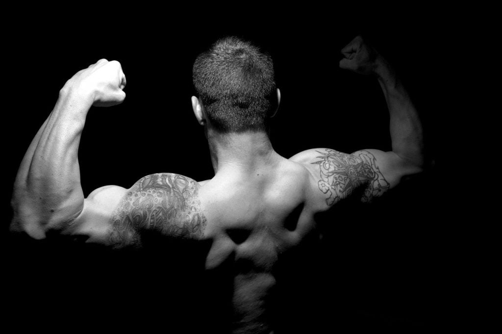 Athlete Muscles Muscular Athletic  - Redleaf_Lodi / Pixabay