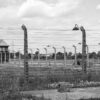 auschwitz birkenau the holocaust 3989466