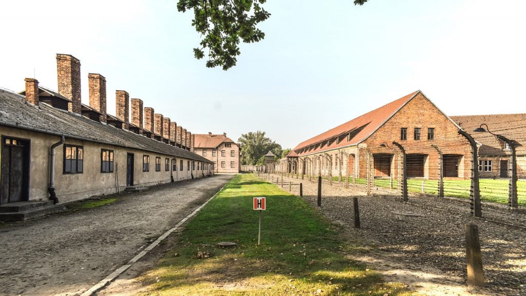 Auschwitz Concentration Camp History  - dimitrisvetsikas1969 / Pixabay