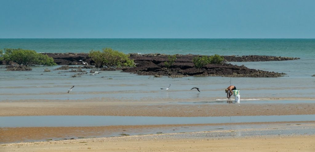 Australia Beach Sea Ocean Coast  - Patjosse / Pixabay