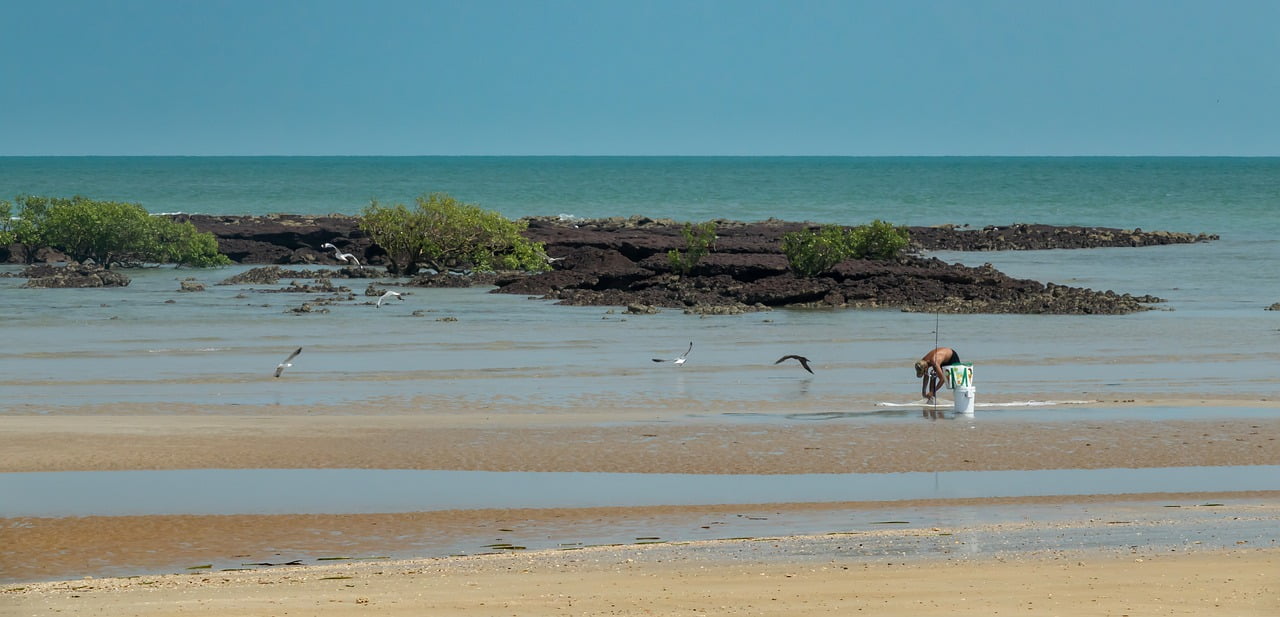 Australia Beach Sea Ocean Coast  - Patjosse / Pixabay