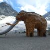 Austria Glacier Mammoth  - Elsemargriet / Pixabay