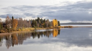 Autumn Lake Lapland Forest Finland  - LTapsaH / Pixabay