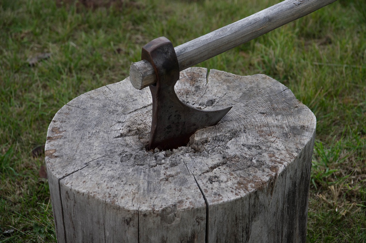 Axe Tool Wood Woodcutter Tree - jackmac34 / Pixabay