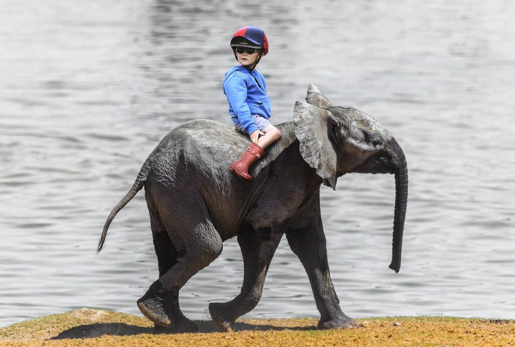 Baby Elephant Child Ride Friends  - SarahRichterArt / Pixabay