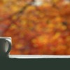 Background Autumn Coffee Fall  - flutie8211 / Pixabay