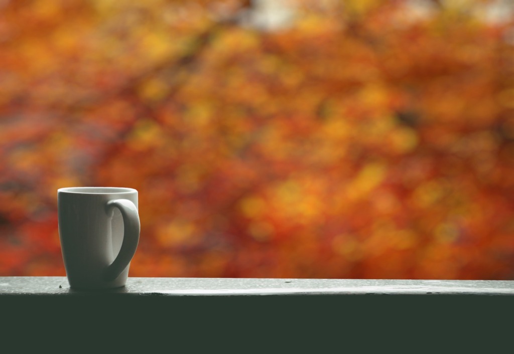 Background Autumn Coffee Fall  - flutie8211 / Pixabay