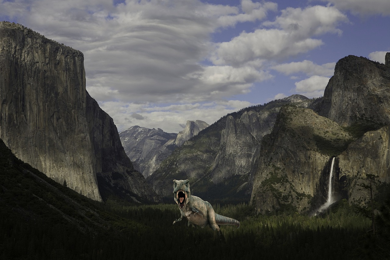 Background Mountains Valley Forest  - jcoope12 / Pixabay