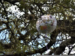 Balloon Birthday Balloon Tree  - Ray_Shrewsberry / Pixabay