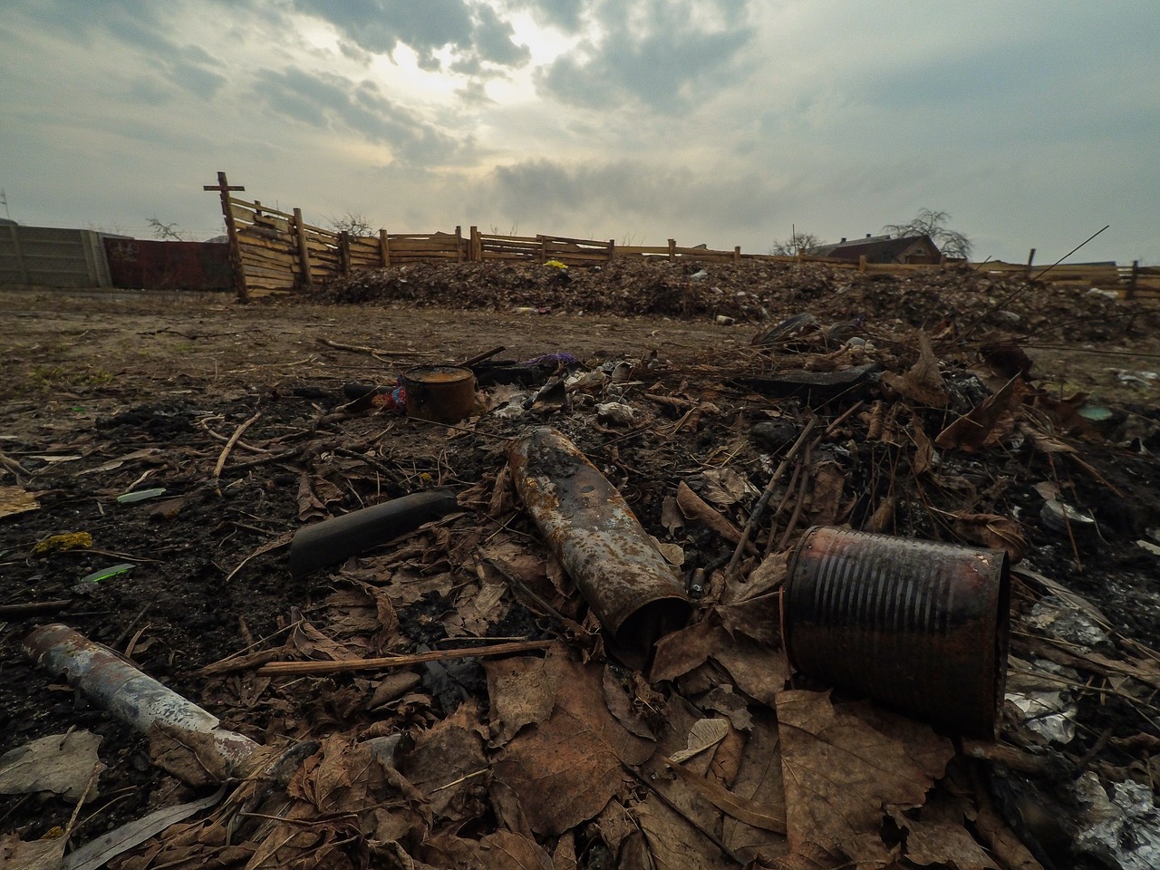 Bank Leaves Spring Terrible Fall  - nicko_vl / Pixabay