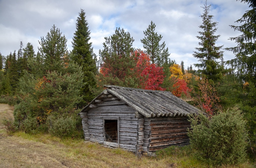 Barn Ruska Lapland Finland Autumn  - LTapsaH / Pixabay