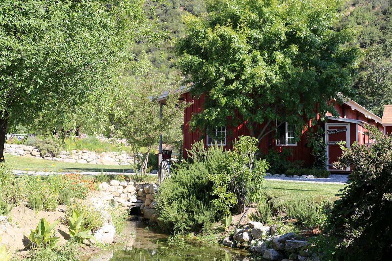 Barn Stream Country Farm Rural  - dmusicat / Pixabay