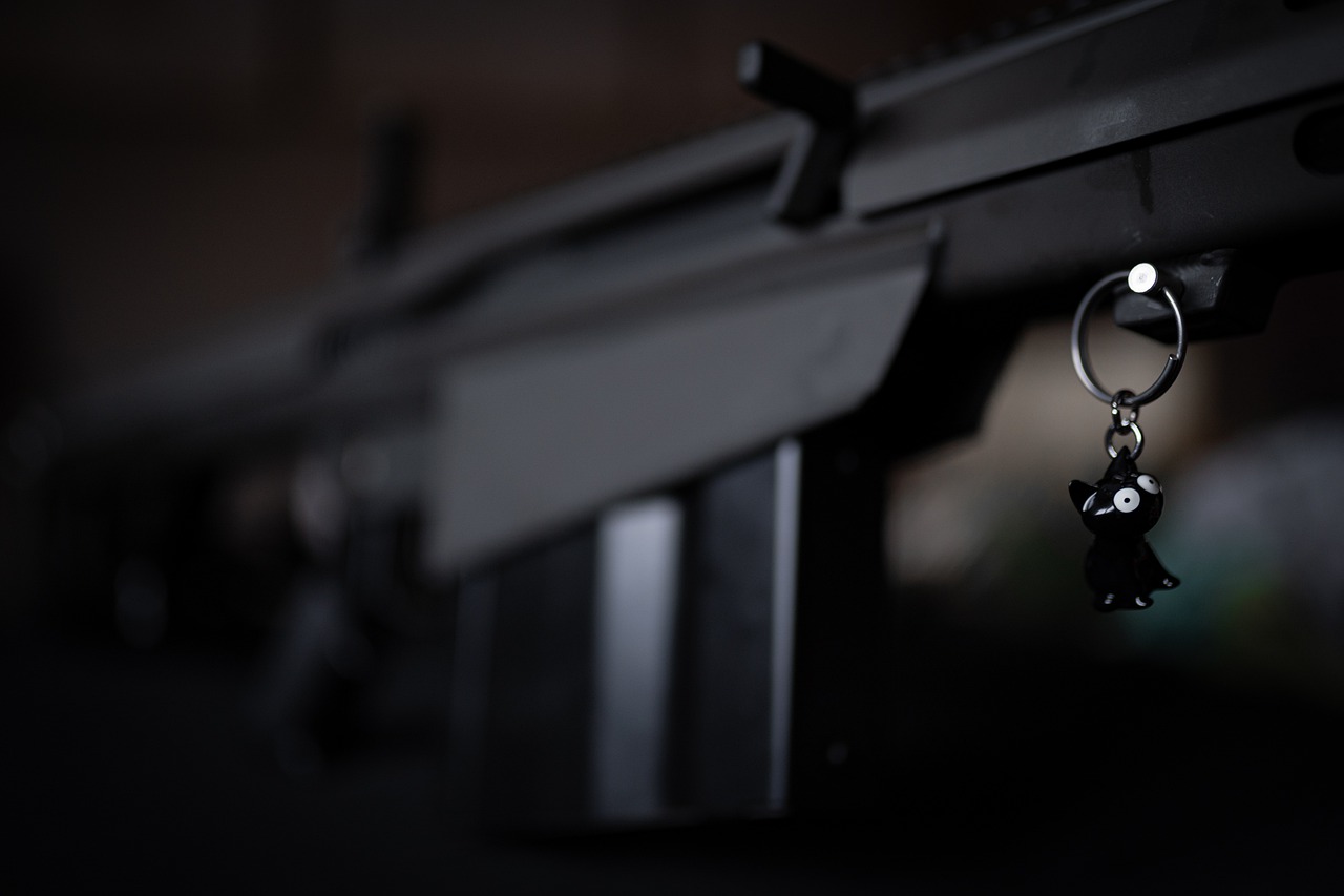 Barrett Barrettm Weapon War  - HScarphotographie / Pixabay