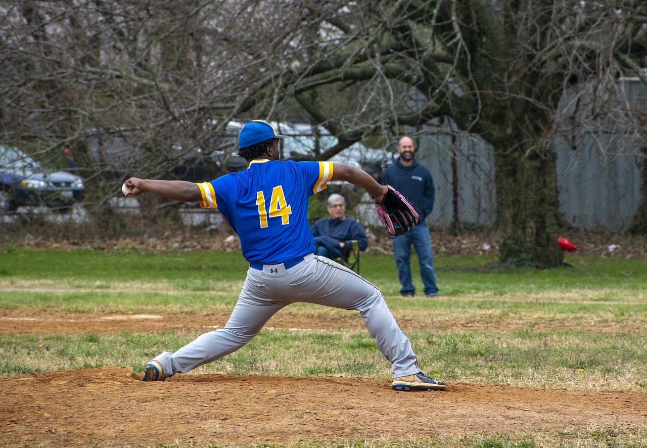 Baseball Game Sport Field Park - BruceEmmerling / Pixabay