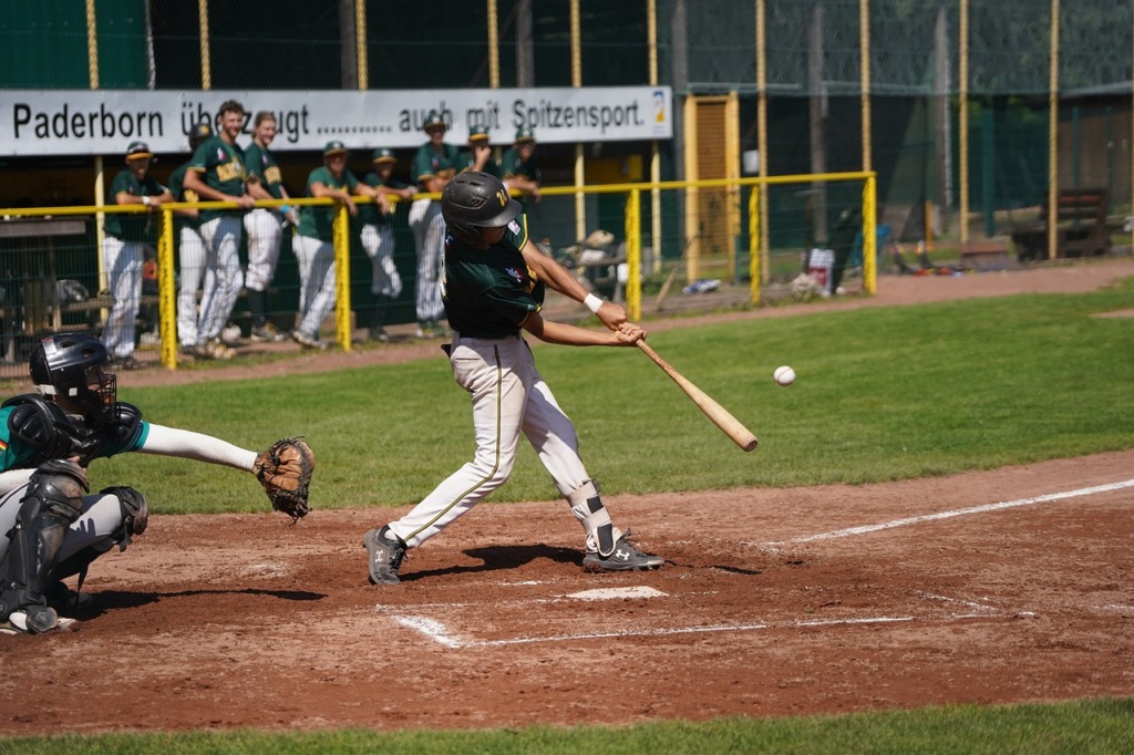 Baseball Sports  - fotograf_lance / Pixabay