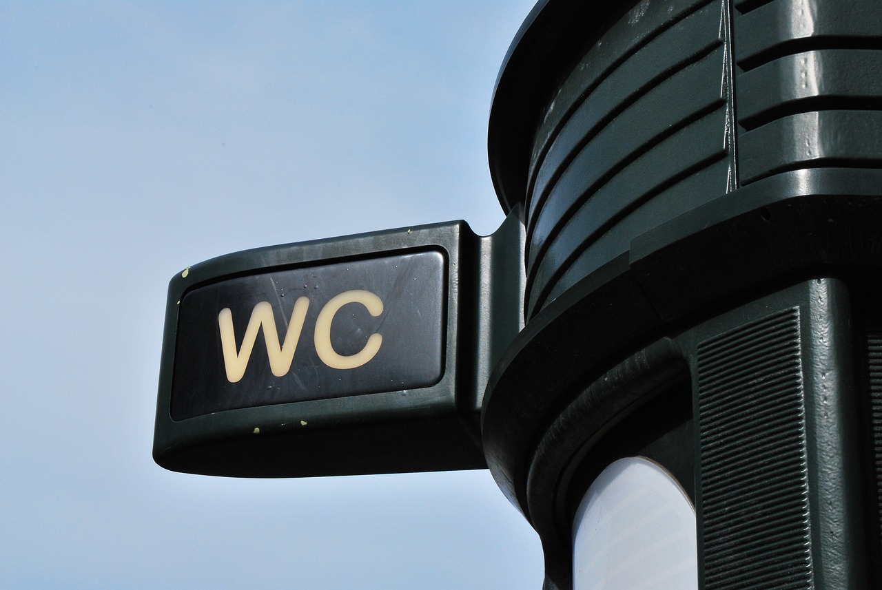 Bathroom Restroom Toilet Wc  - regantheiler / Pixabay