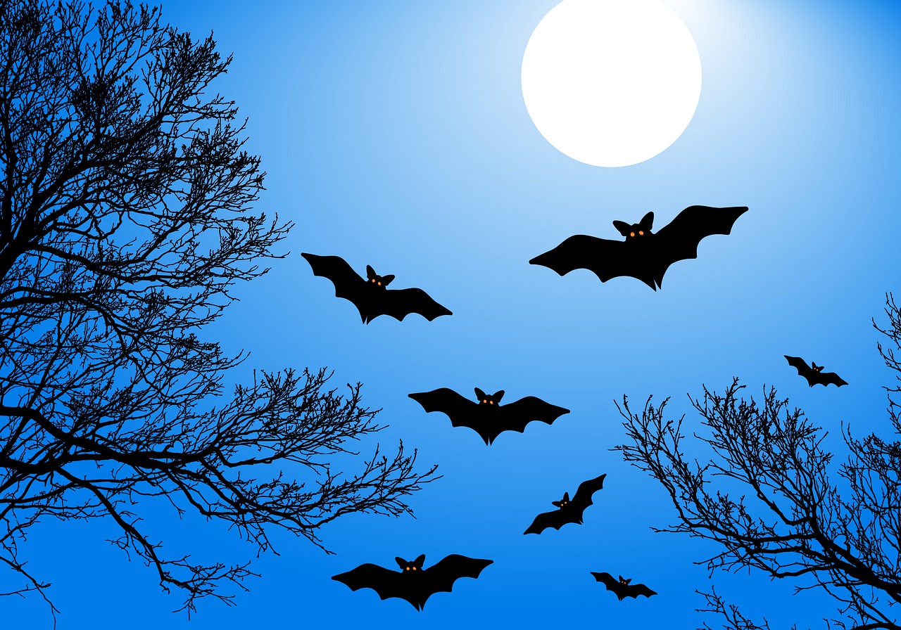 Bats Moon Halloween Full Moon - Alexey_Hulsov / Pixabay