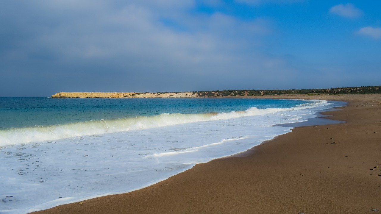 Beach Ocean Waves Island Bay  - dimitrisvetsikas1969 / Pixabay