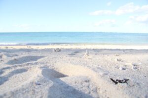 Beach Sandy Okinawa Northern Sea  - sean0812 / Pixabay