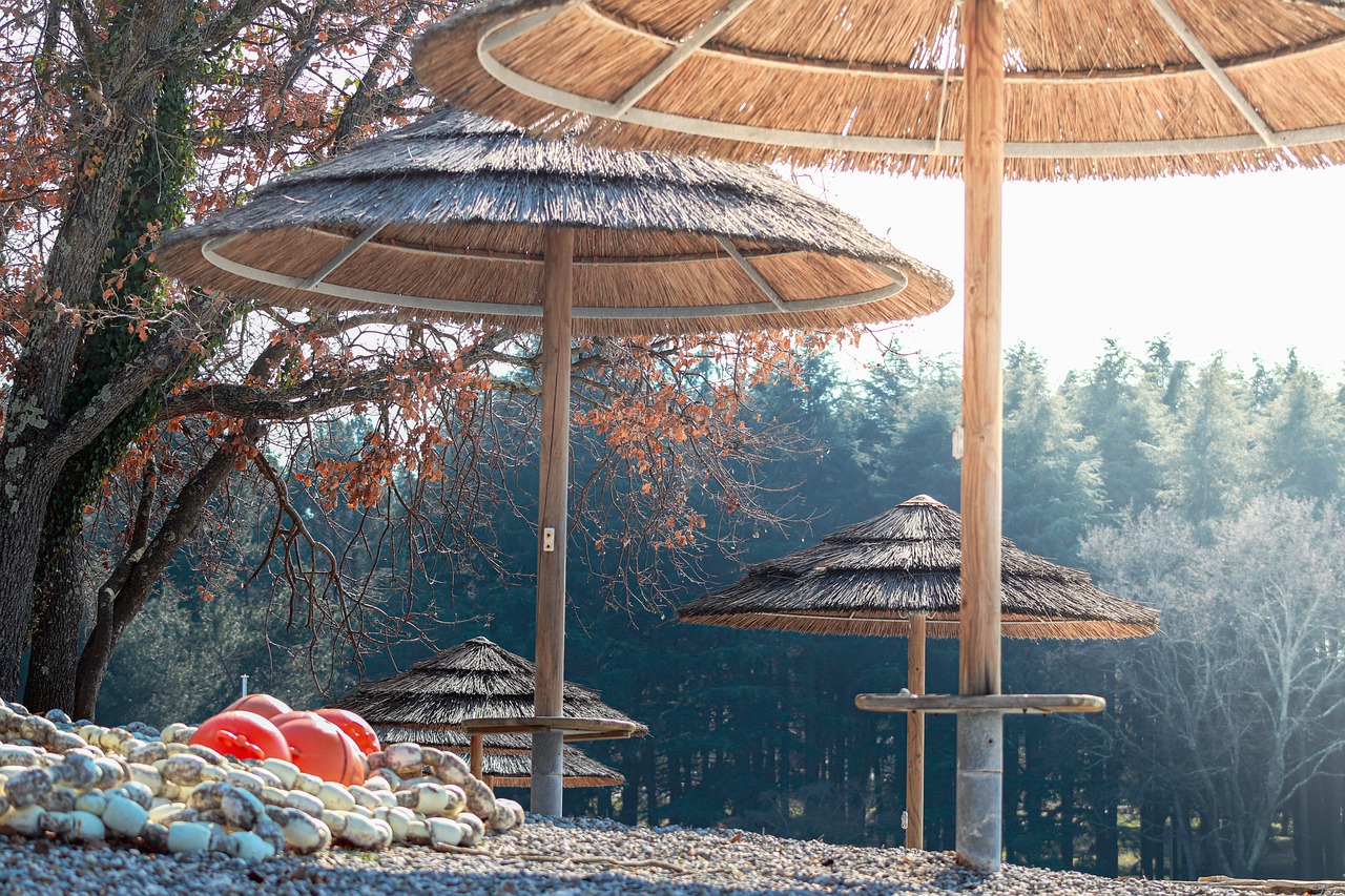 Beach Sea Straw Umbrellas Parasol  - k-e-k-u-l-é / Pixabay