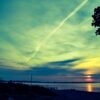 Beach Sunrise Sea Tree Sun  - Masterdan19 / Pixabay