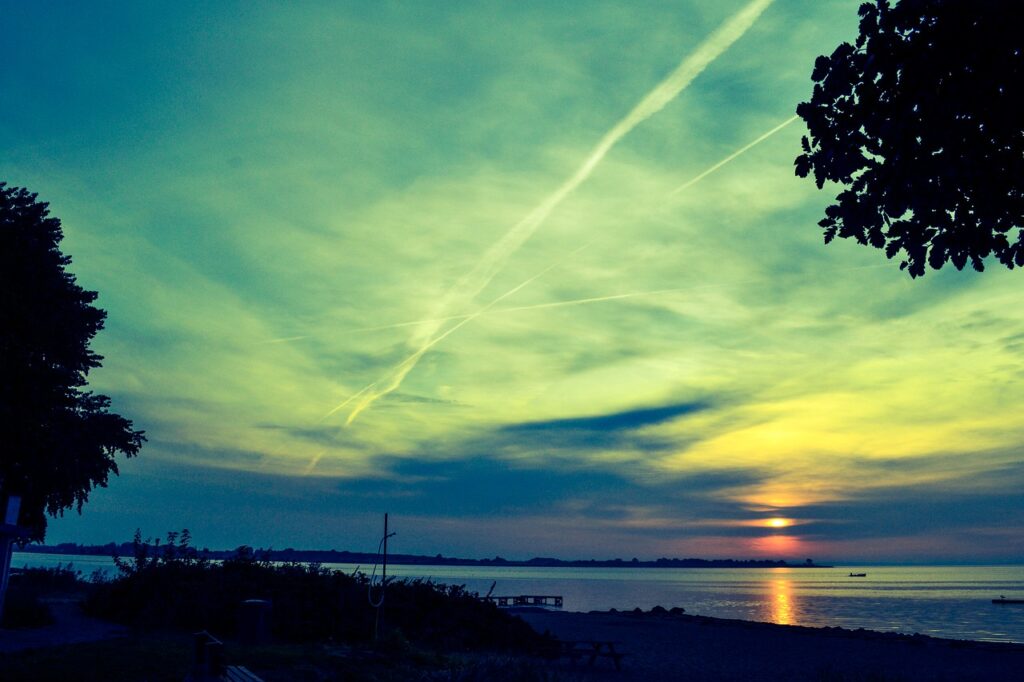 Beach Sunrise Sea Tree Sun  - Masterdan19 / Pixabay