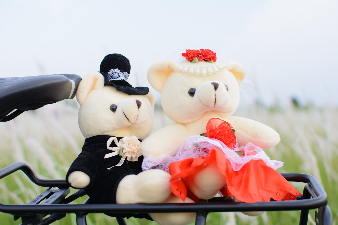 Bear Doll Cute Teddy Child Toys - kieutruongphoto / Pixabay