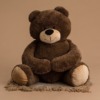 Bear Teddy Bear Plushie Newborn  - AngelBear78 / Pixabay